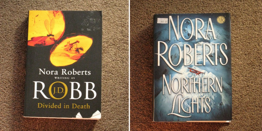 Northern Lights by Nora Roberts and Divided in Death by JD Robb