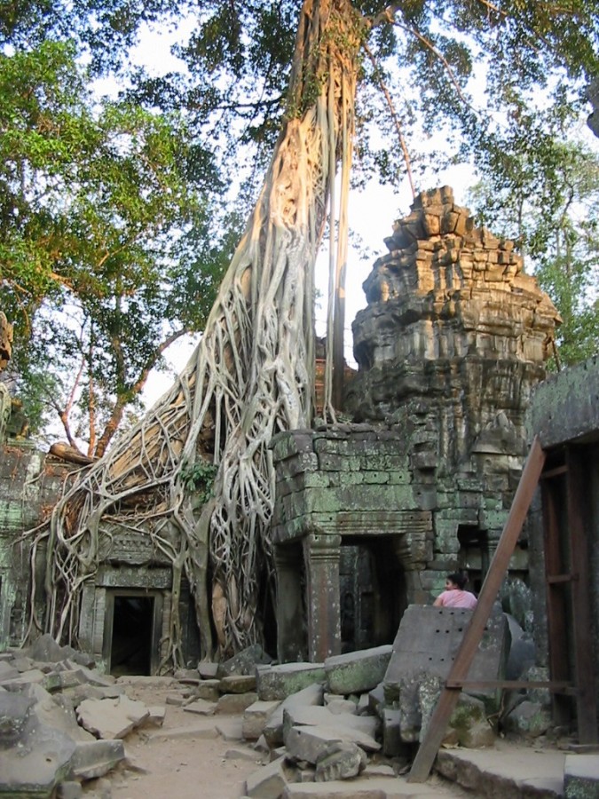 Ta Prohm Ta Prohm