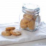 Cheese biscuits - gluten-free & low FODMAP