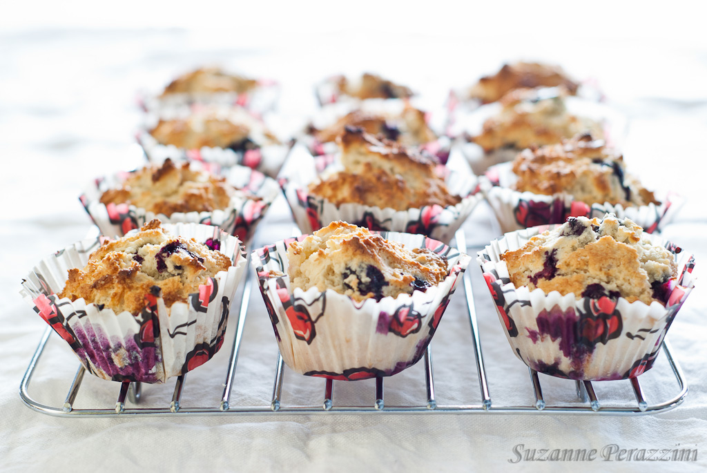 Blueberry Lemon Muffins - gluten-free & low FODMAP