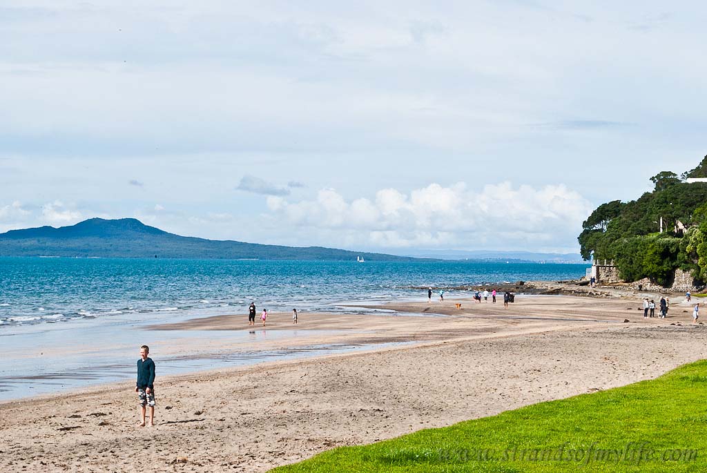 Mairangi Bay Beach Auckland