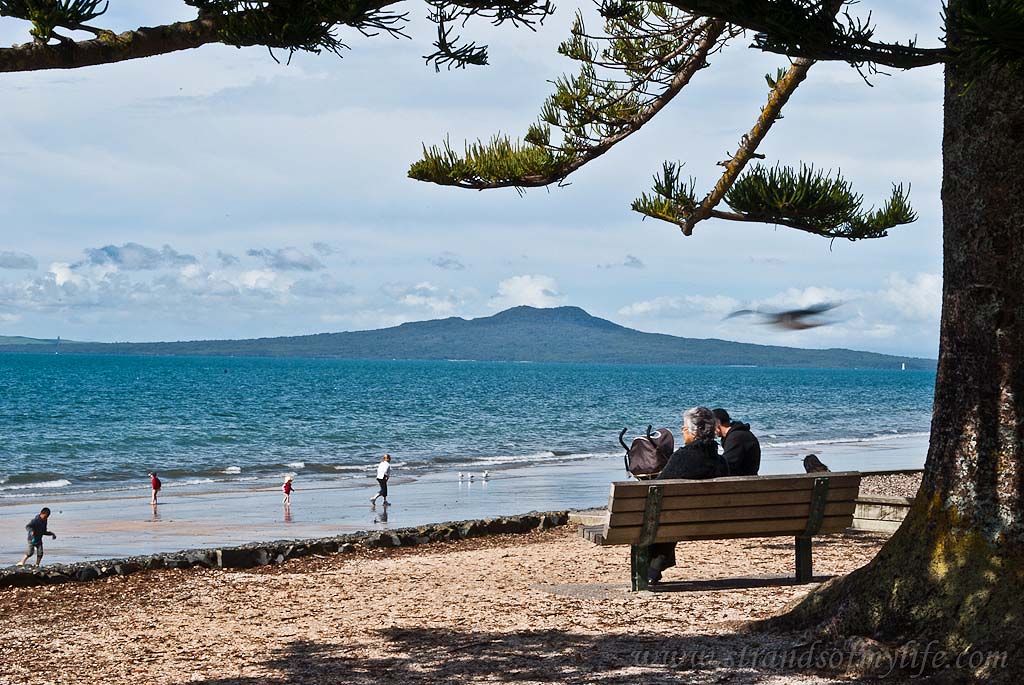 Mairangi Bay beach