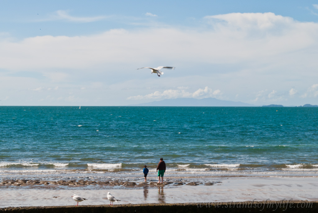 Mairangi Bay beach