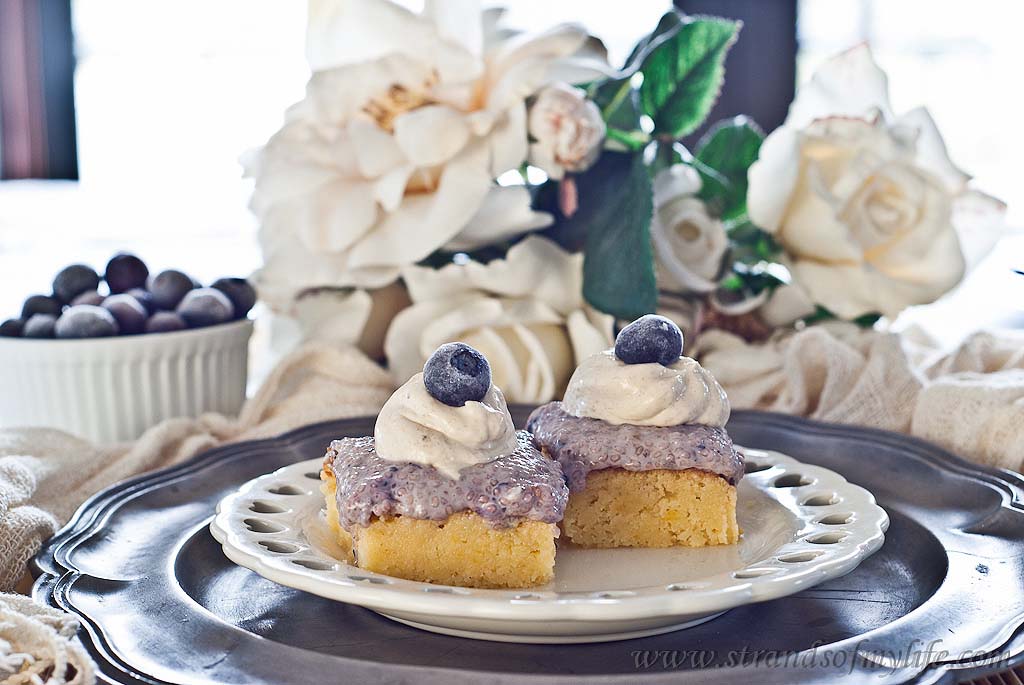 Blueberry Mousse Slice -gluten-free & low FODMAP