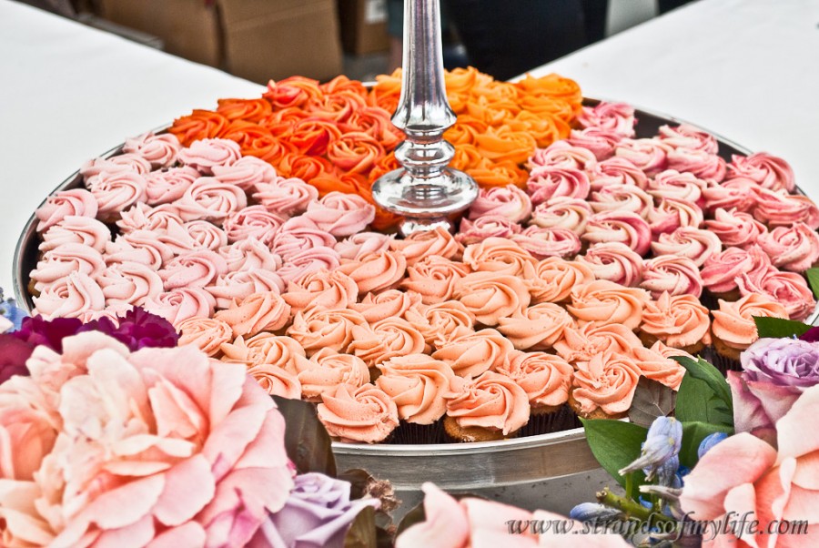 Taste of Auckland Food Festival and a Candlelight Dinner • The Low