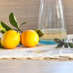 Lemon Citrus Recipes