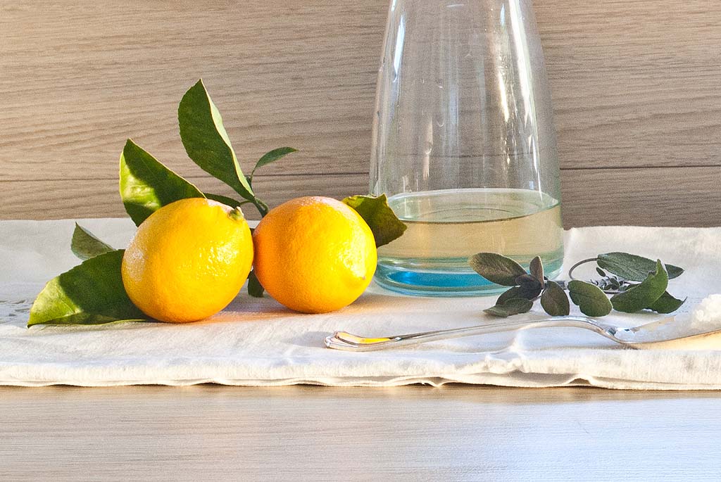 Lemon Citrus Recipes