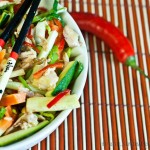 Asian-Style Chicken Salad – low FODMAP - image