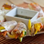 Spicy Spring Rolls - Gluten-Free and Low Fodmap