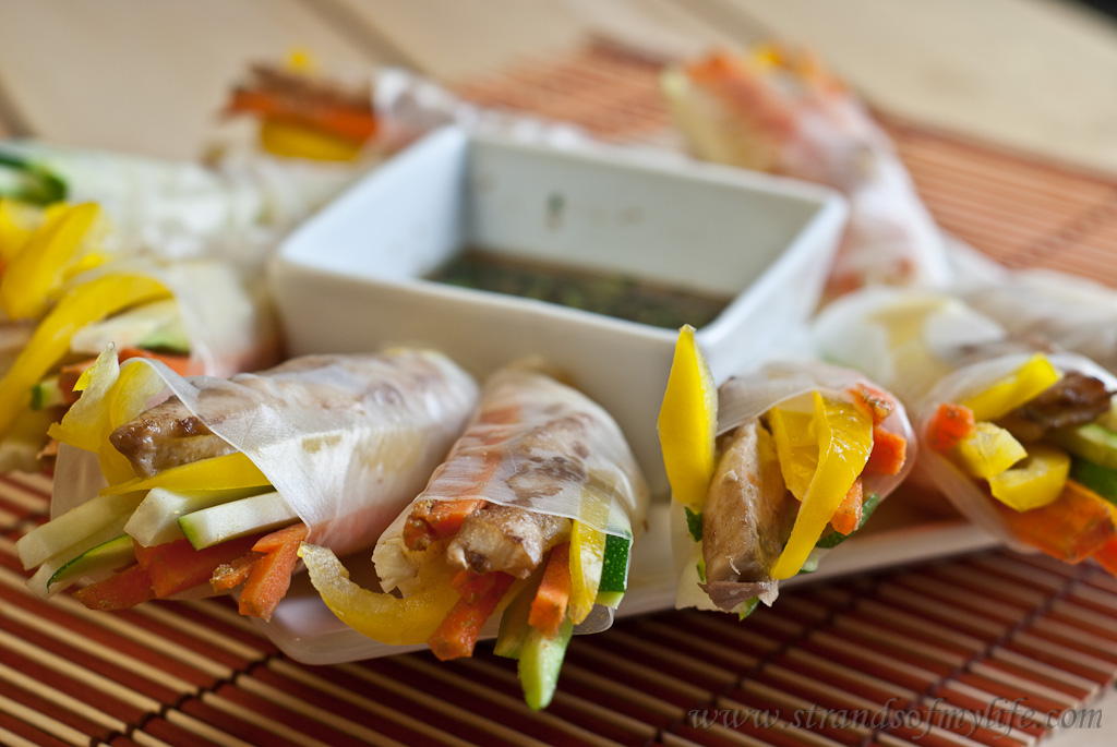 Spicy Spring Rolls - Gluten-Free and Low Fodmap