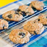 oat & blueberry cookies -low fodmap & gluten-free