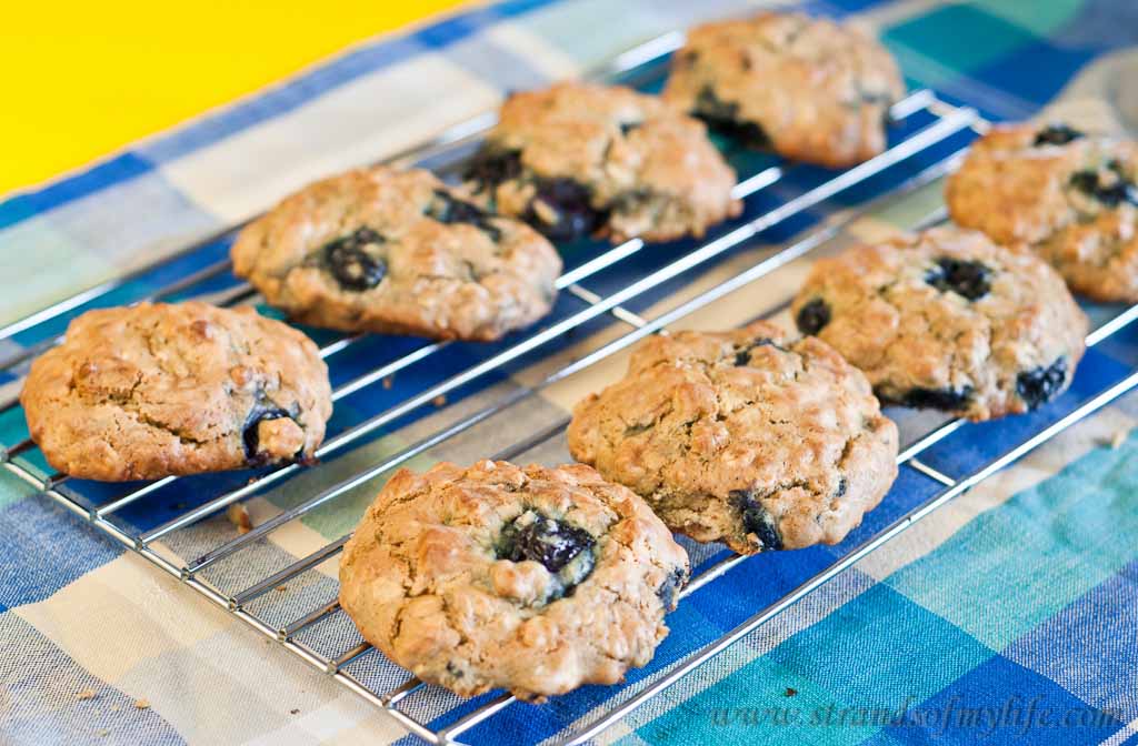 oat & blueberry cookies -low fodmap & gluten-free