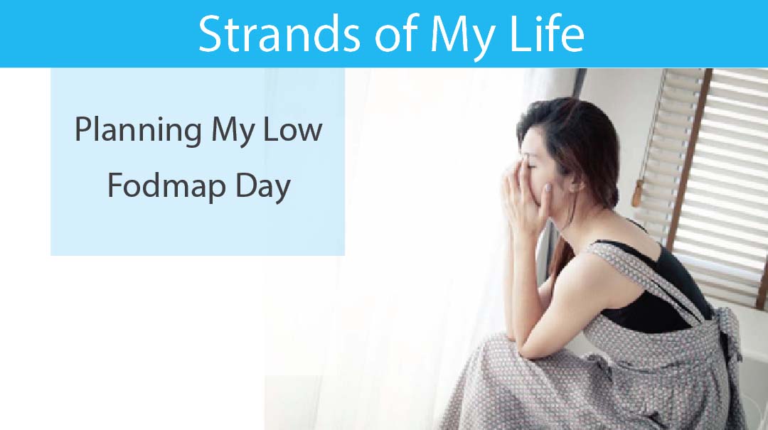 Planning a Low Fodmap Day