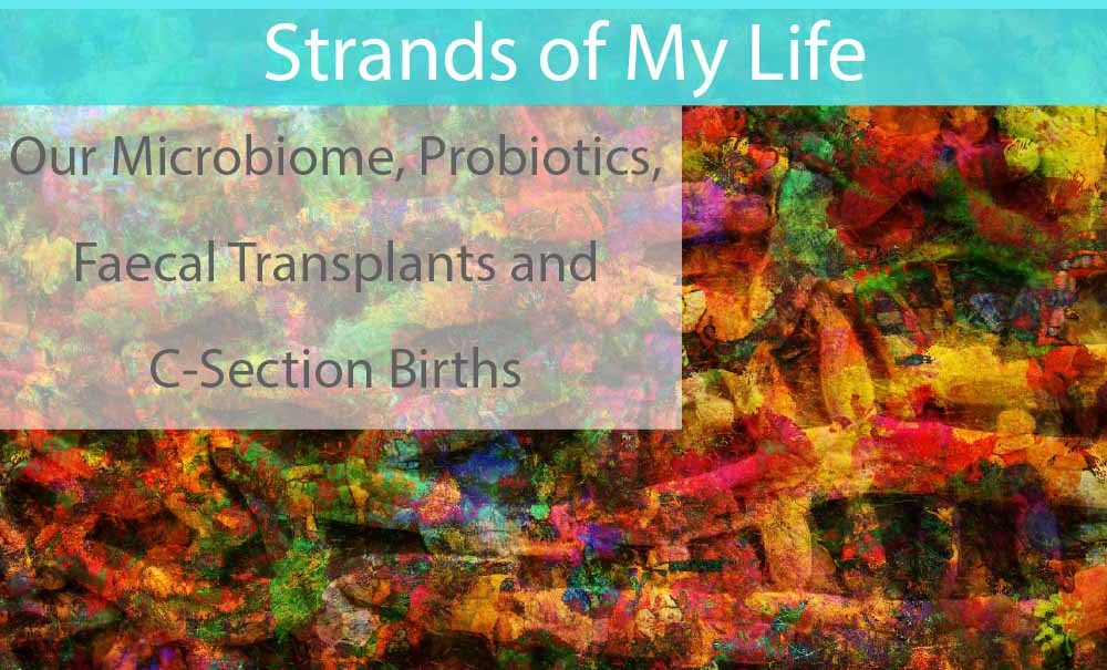 Our Microbiome, Probiotics, Faecal Transplants and C-Section Births