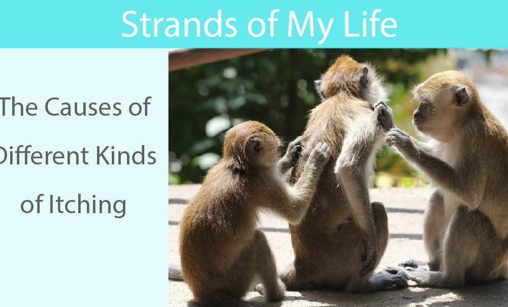 The Causes of Itching