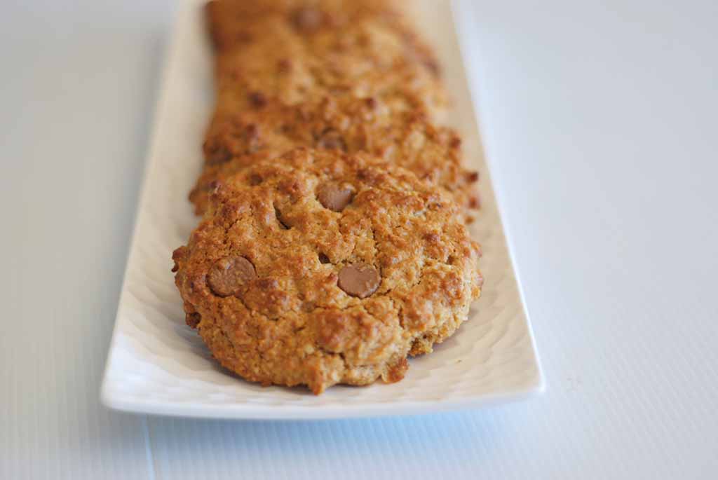 Low Fodmap Chocolate Chip and Peanut Butter Cookies